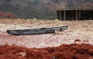 Tragedia de los cristianos en Oriente Medio: llámenlo genocidio.