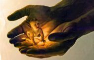 Manifiesto sobre el aborto